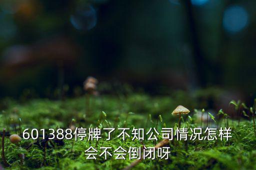 601388停牌了不知公司情況怎樣會(huì)不會(huì)倒閉呀