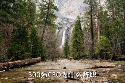 羅建川為什么辭職，500強CEO為什么辭職