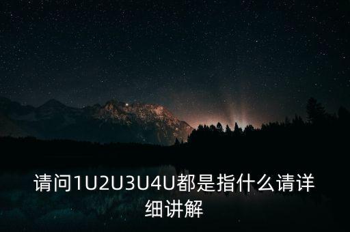 請(qǐng)問(wèn)1U2U3U4U都是指什么請(qǐng)?jiān)敿?xì)講解