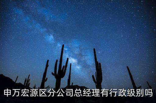 申萬宏源區(qū)分公司總經(jīng)理有行政級別嗎