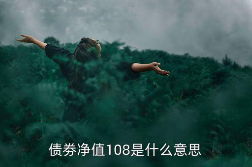 債劵凈值108是什么意思