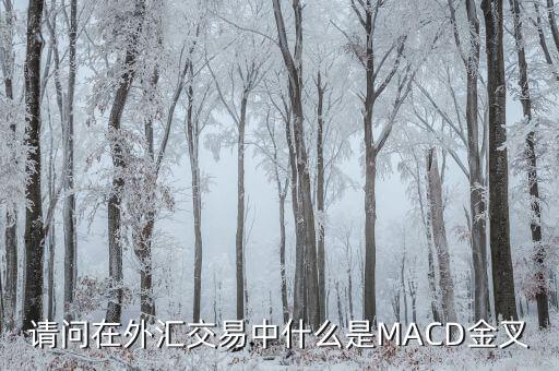 請(qǐng)問在外匯交易中什么是MACD金叉