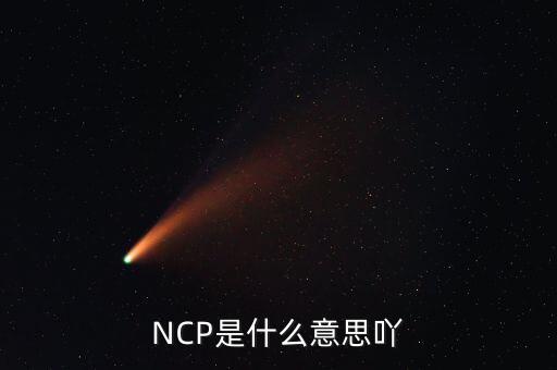 可比企業(yè)ncp是什么簡稱，NCP是什么意思吖