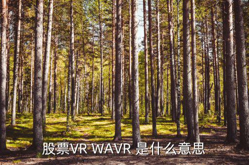 股票VR WAVR 是什么意思