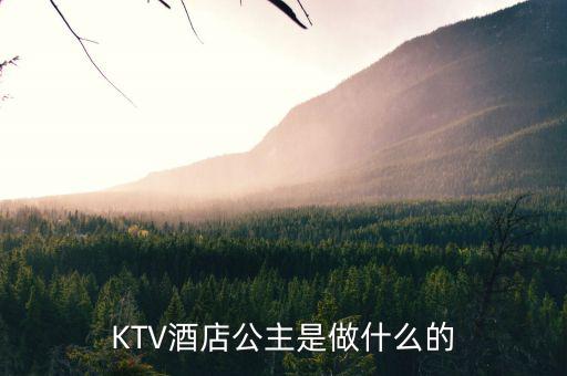 酒店出臺(tái)是干什么的，KTV酒店公主是做什么的