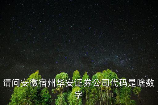 請(qǐng)問(wèn)安徽宿州華安證券公司代碼是啥數(shù)字