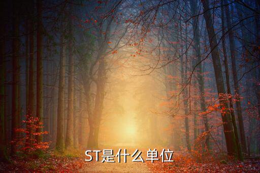 縮寫st表示什么數(shù)量單位，ST是什么單位