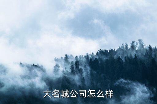 大名城公司怎么樣