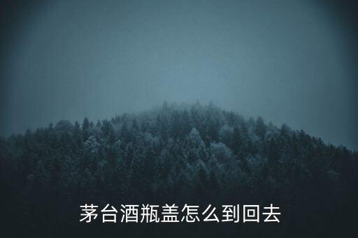  茅臺(tái)酒瓶蓋怎么到回去