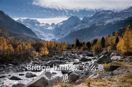 Bridge bank 是 什么意思