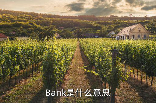 Bank是什么意思