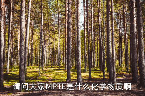 汽油的mpte是什么，汽油里MPTE是什么