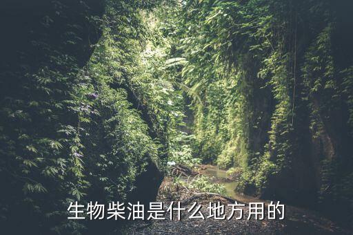 生物柴油是什么地方用的