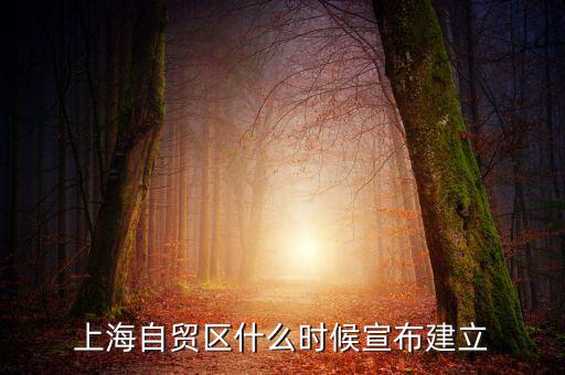 上海自貿(mào)區(qū)什么時候宣布建立