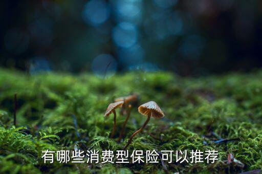 有哪些消費(fèi)型保險(xiǎn)可以推薦