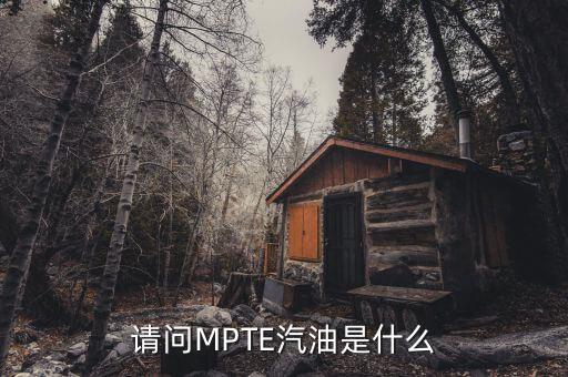 請(qǐng)問MPTE汽油是什么