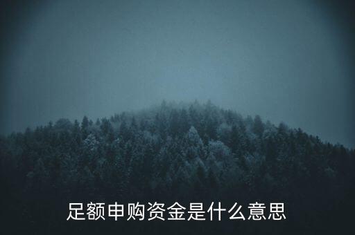 足額申購(gòu)資金是什么意思