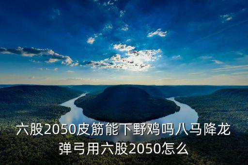 2050四股能下什么貨，2050四股到底配多大的鋼O合適