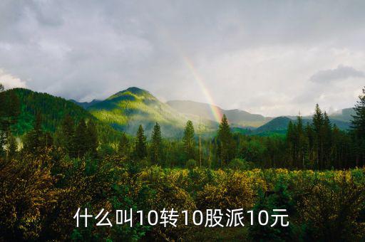 什么叫10轉(zhuǎn)10股派10元