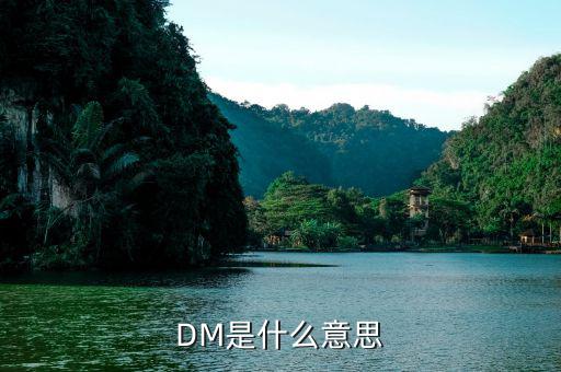 什么是dm理財(cái)，DM在國(guó)際金融里面是什么意思