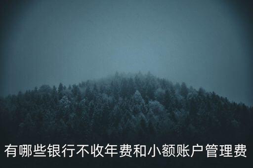 有哪些銀行不收年費(fèi)和小額賬戶管理費(fèi)