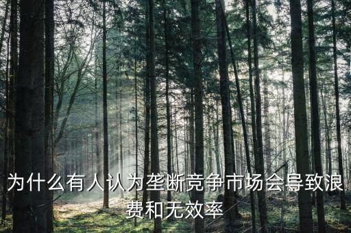 為什么有人認(rèn)為壟斷競爭市場會導(dǎo)致浪費和無效率