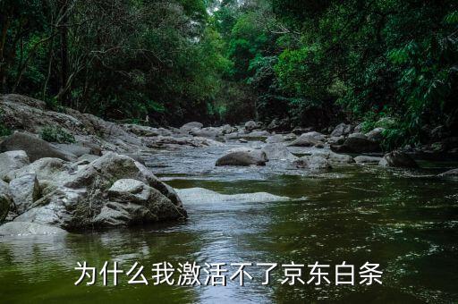 為什么我激活不了京東白條