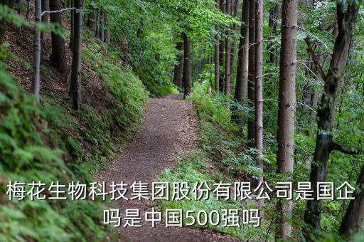 梅花生物是什么板塊，梅花生物科技集團股份有限公司是國企嗎是中國500強嗎