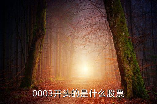 000053是什么股票，原來(lái)A股中科健現(xiàn)在是什么股票代碼