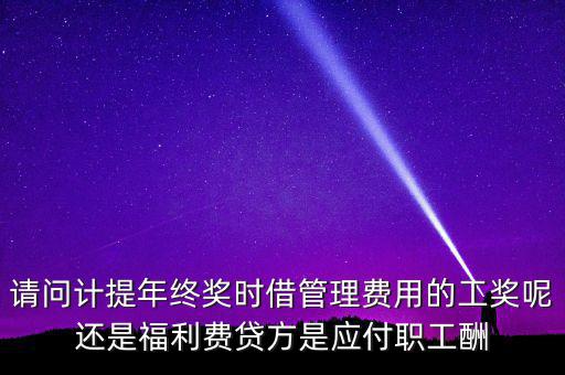 請問計提年終獎時借管理費用的工獎呢還是福利費貸方是應付職工酬