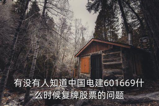 有沒有人知道中國電建601669什么時(shí)候復(fù)牌股票的問題