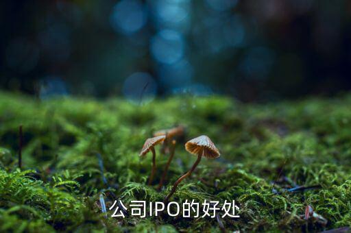 公司IPO的好處