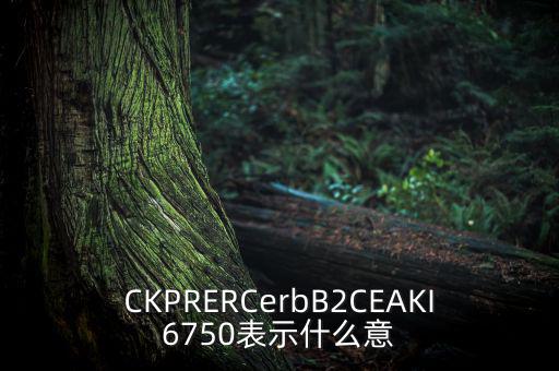 CKPRERCerbB2CEAKI6750表示什么意