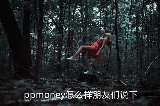  ppmoney怎么樣朋友們說(shuō)下