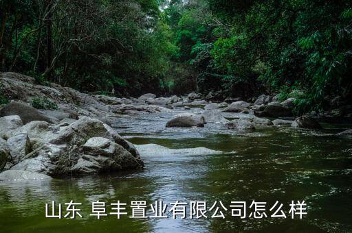 阜豐投資集團(tuán)怎么樣,本地有哪些公司存在風(fēng)險(xiǎn)?一起來看看!