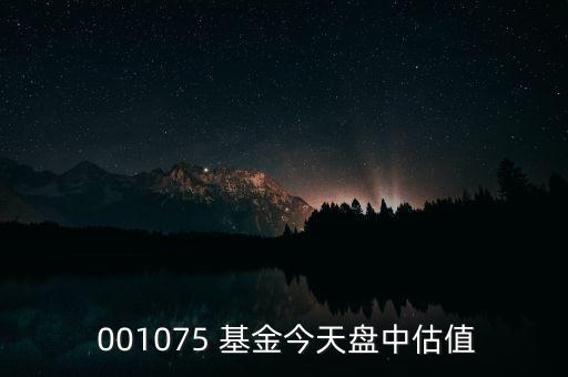 001075基金怎么樣,基金估值由第三方做出但不準(zhǔn)確