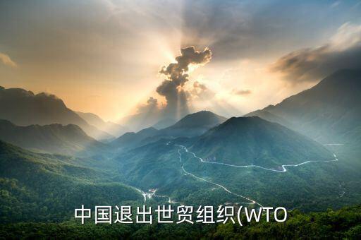 中國退出世貿組織(WTO