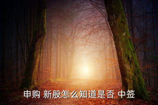 怎么查新股中簽時(shí)間,三個(gè)渠道可查詢新股是否中簽!