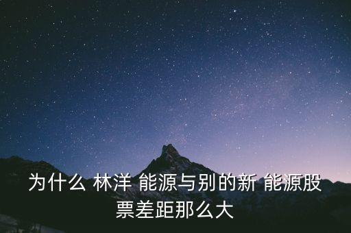 南京林洋新能源怎么樣,誰去誰知道,林洋new能源回顧