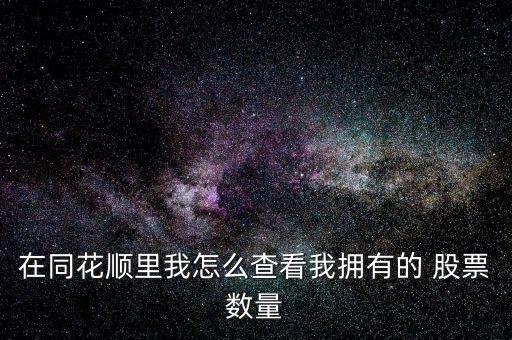 在同花順里我怎么查看我擁有的 股票數量