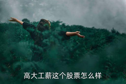 高大工薪這個(gè)股票怎么樣