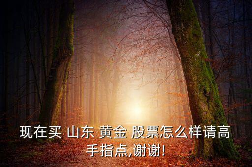 現(xiàn)在買(mǎi) 山東 黃金 股票怎么樣請(qǐng)高手指點(diǎn),謝謝!