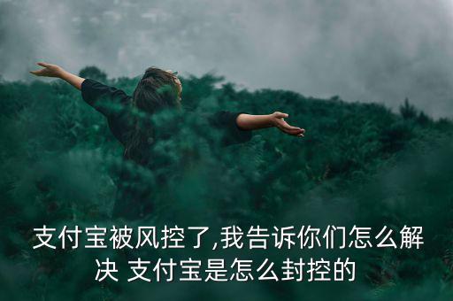  支付寶被風(fēng)控了,我告訴你們怎么解決 支付寶是怎么封控的