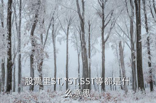 股票里ST,*ST,SST等都是什么意思