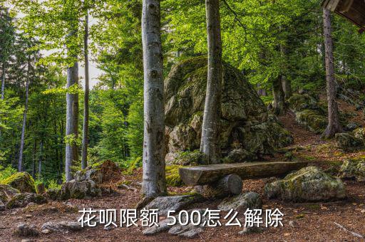 花唄限額 500怎么解除