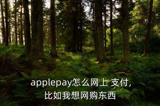  applepay怎么網(wǎng)上 支付,比如我想網(wǎng)購(gòu)東西