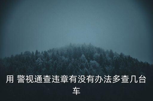 警視通不能繳費怎么回事,罰款繳納流程如何進行?