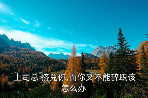 被上司擠兌怎么辦,孕婦敢鬧敢頂撞上司?上司請(qǐng)讓下坐下去