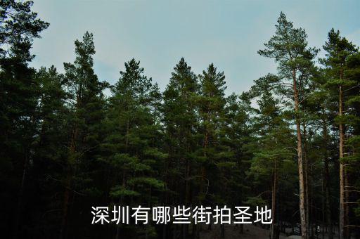 深圳中誠(chéng)云金怎么樣,深圳濱海綠道可租去騎行但樹還沒完全長(zhǎng)成