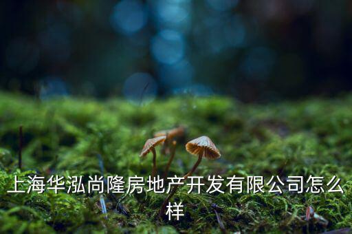 上海華泓尚隆房地產(chǎn)開發(fā)有限公司怎么樣